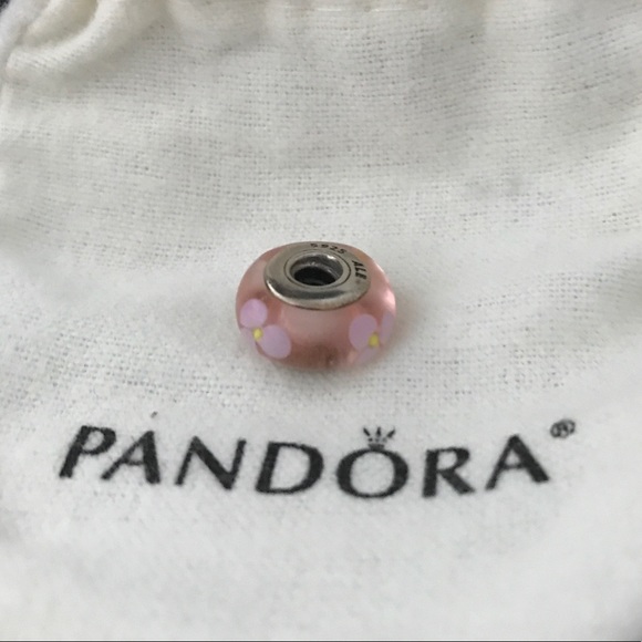 Pandora Jewelry - Pandora Glass Charm